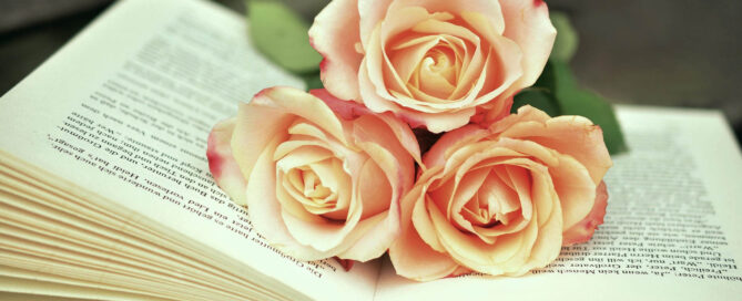 Blog | Wechseljahrssymptome Wachsen im Wechsel Martina Pietsch, drei rosa Rosen liegen auf aufgeschlagenem Buch